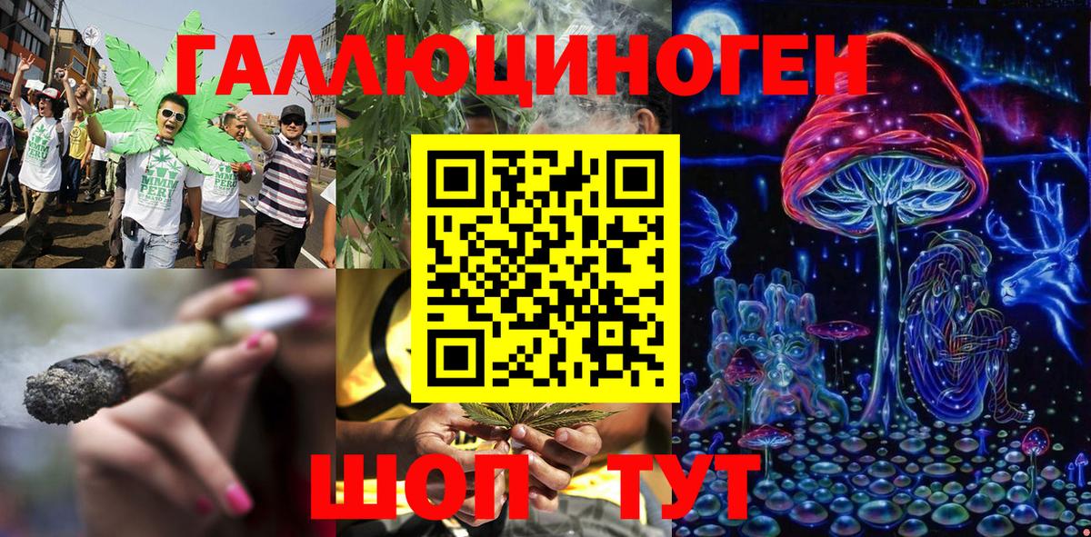 Галлюциногенные грибы Psilocybe Алушта