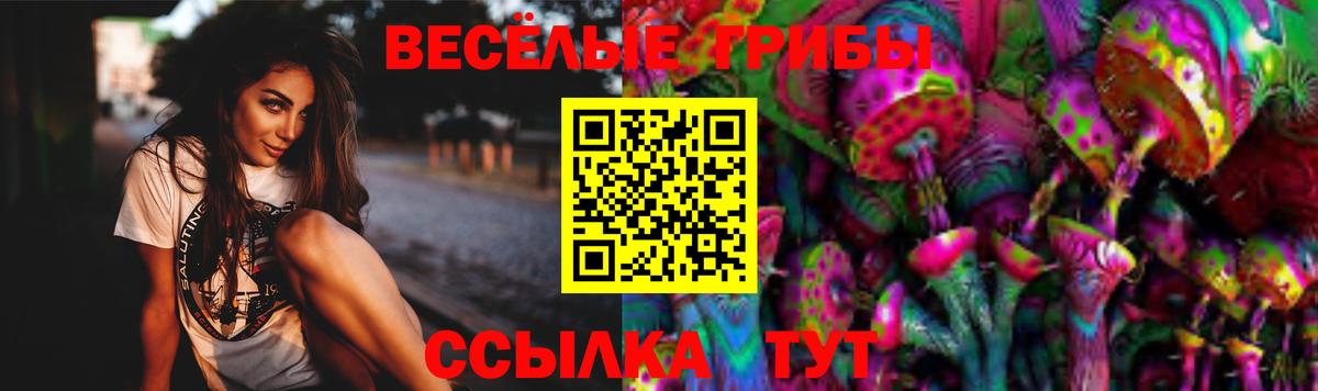 Алушта  Псилоцибиновые грибы MAGIC MUSHROOMS  Вход с VPN 